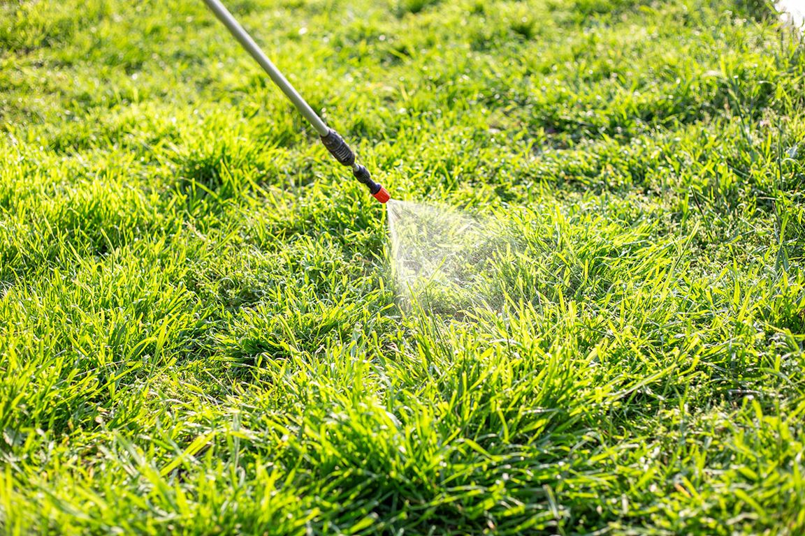 A long-handled wand applicator sprays a fine mist of liquid onto a green lawn in bright sunlight.